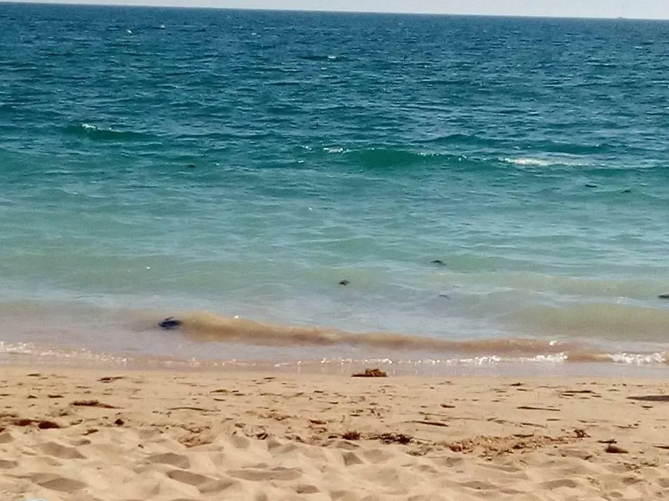 דירה Armação de Pêra Apartamento Azul
